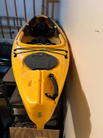 Kayak (Tandem) with Paddles, PFDs, Cart & Roof Rack Straps and Pads