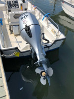 Boston Whaler Montauk