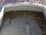 26 Ft. Pacemaker Alglas $1,500.00 OBO