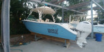 2020 Cobia 280 Dual Console