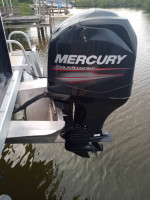 BENNINGTON 20SSX Pontoon