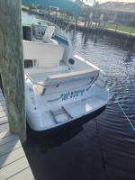 Rinker 265 fiesta vee and trailer