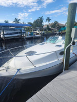 Rinker 265 fiesta vee and trailer