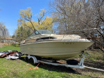 Searay