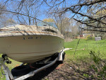 Searay