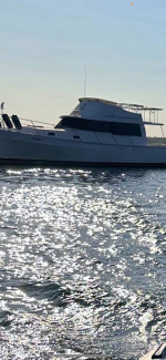 34 ft mainship Diesel