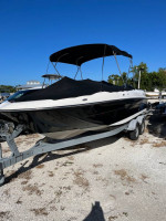 Bayliner Deck Boat