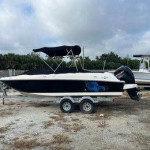 Bayliner Deck Boat