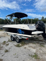 Bayliner Deck Boat