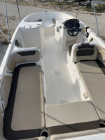 Bayliner Deck Boat