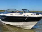 2009 Bayliner 225BR
