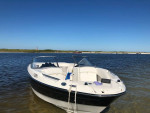 2009 Bayliner 225BR