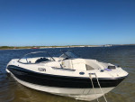 2009 Bayliner 225BR