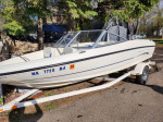 Bayliner