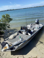 17' Bass Tracker & 40ph Yamaha