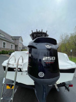 2020 Wellcraft 222 Fisherman w/Trailer-250 HP
