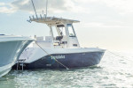 2014 Everglades 255 CC