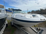 CHAPARRAL 24 FT DECK BOAT