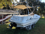 SEA RAY 240 SUN DECK