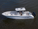 2022 Sea Fox 328 Commander