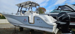 2022 Sea Fox 328 Commander