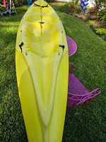 kayak (2 Seater)