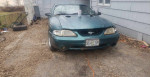 97 mustang cobra