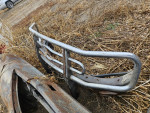 Grille guard