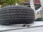 235/55/19 Yokohama tire