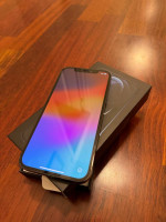 iPhone 12 Pro 256gb Unlocked