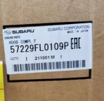 NEW_2018-2021 Subaru Crosstrek Hood Panel