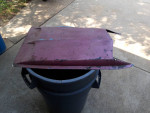 Ford hood scoop