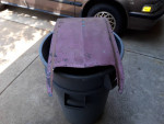 Ford hood scoop