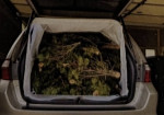 Auto Cargo Space Cover / Protector