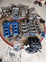 09 ford 3.5 8th digit is C wo oil cooler parts
