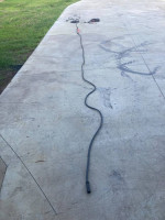 Phillips Harness Assembly, 53Ft, Chassis--N3
