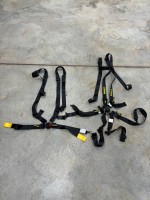 Schroth racing seat belts