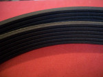 Dayco Poly Rib Belt #5060960 / 6PK2440  NOS