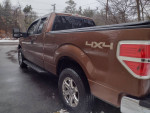 2011 f150