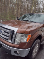 2011 f150