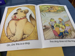 Tool for Parents: Discovery Toys Early Reading Set