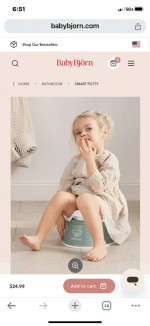 yard toys and toddler potty !