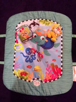 Baby Einstein Play Mat and Toys