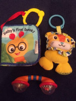 Baby Einstein Play Mat and Toys