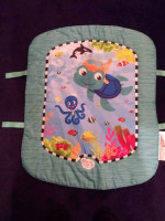 Baby Einstein Play Mat and Toys