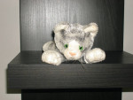 Stuffed Toys, Bumpkins ,and Wood Mini Bat