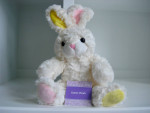 Stuffed Toys, Bumpkins ,and Wood Mini Bat
