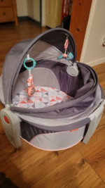 Portable Baby Bassinet