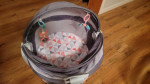 Portable Baby Bassinet
