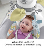Fisher-Price Baby Swing
